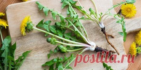 10 растений, которые обладают противовирусными свойствами