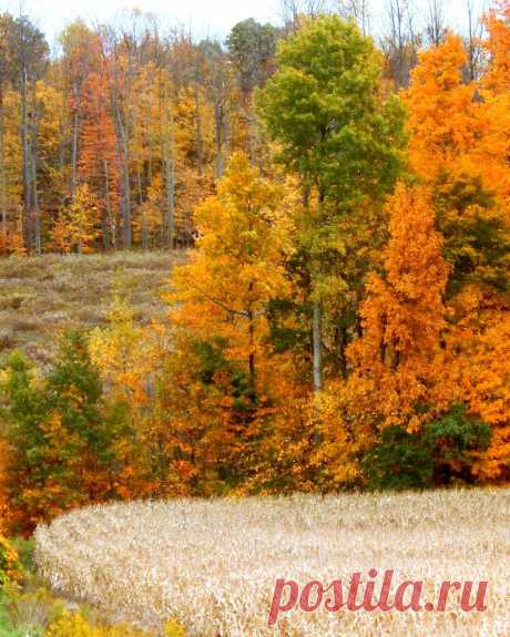 Shades of Autumn 2014.IX by MadGardens on DeviantArt