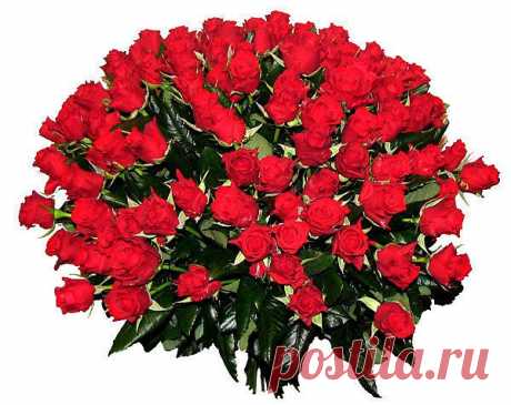 Блоги@Mail.Ru: Не выбрасывайте плодоножки от сладких перцев