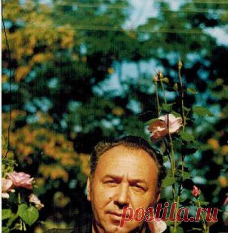 (99+) Одноклассники