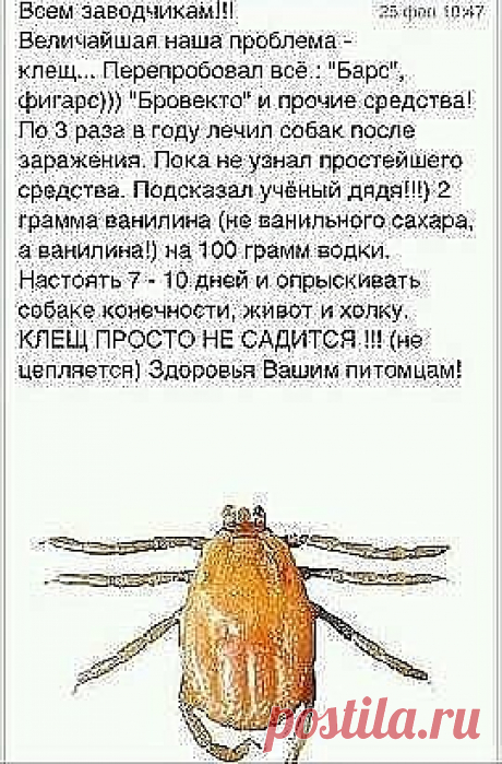 (47) Одноклассники