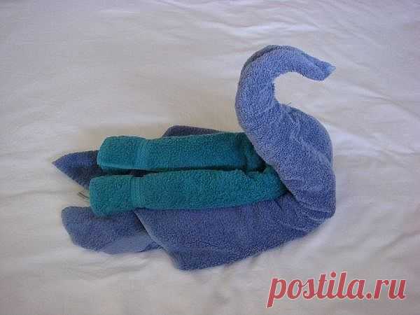Как сделать лебедя из полотенца | Страна Полезных Советов