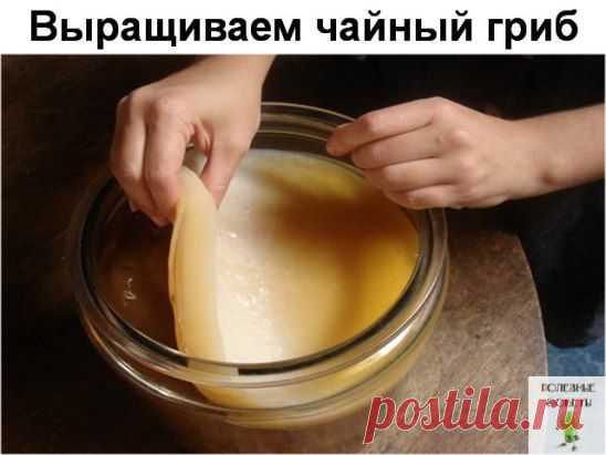 (73) Одноклассники