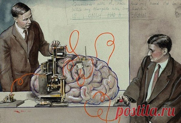 Мозг человека может рассчитывать расстояние при помощи слуха — Интересные факты