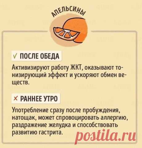 Время употребления различных основных продуктов питания / Speleologov.Net - мир кейвинга