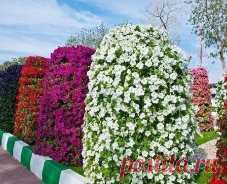 Вертикальная клумба своими руками