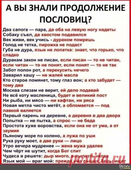 Выпуск №3954 - выпуск анекдотов сайта вокруг смеха
