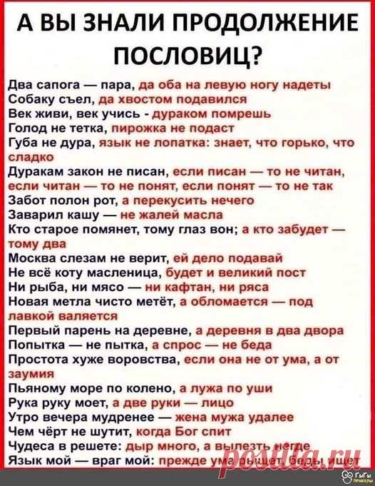 Выпуск №3954 - выпуск анекдотов сайта вокруг смеха