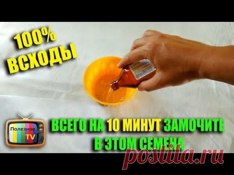 ЗАМОЧИТЕ В ЭТОМ СЕМЕНА ПОЛУЧИТЕ 100% ВСХОДЫ И БОЛЬШОЙ УРОЖАЙ