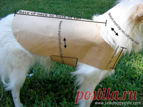 Sew DoggyStyle: DIY Pet Coat Pattern