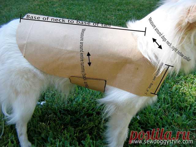 Sew DoggyStyle: DIY Pet Coat Pattern