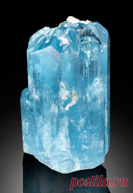 The Surfing N.C.owboy : Photo