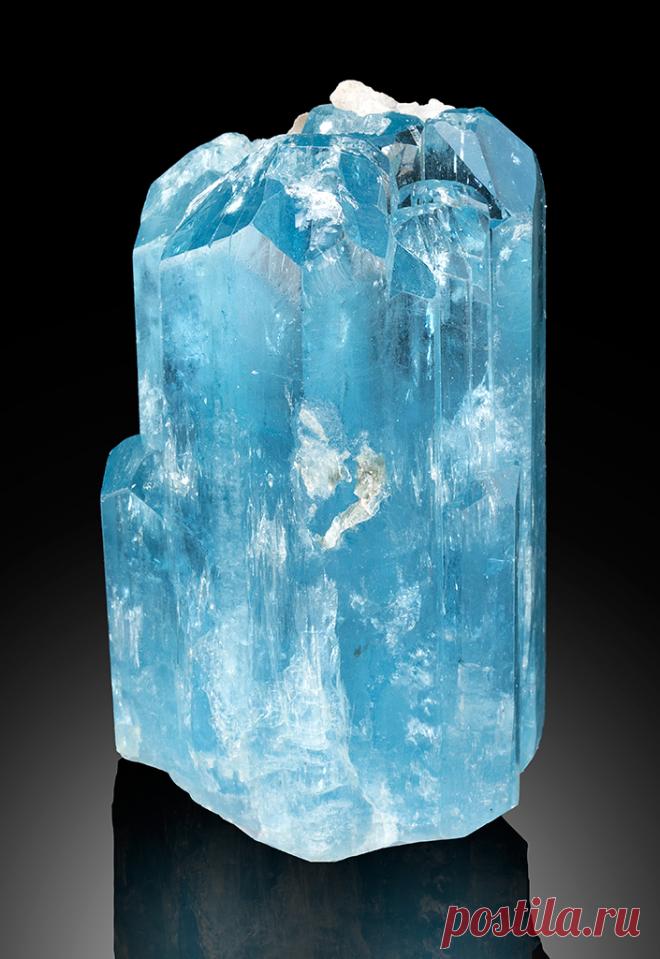 The Surfing N.C.owboy : Photo