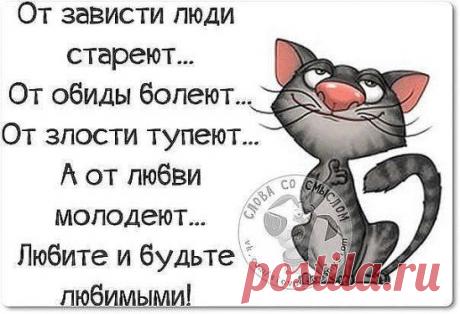 (3) Одноклассники