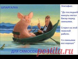 Шпаргалки на все случаи жизни. Шутки позитивного психолога