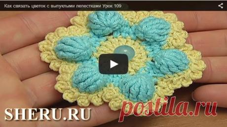 Цветы с выпуклыми лепестками