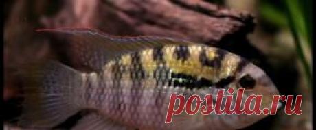 Мирный - Part 4