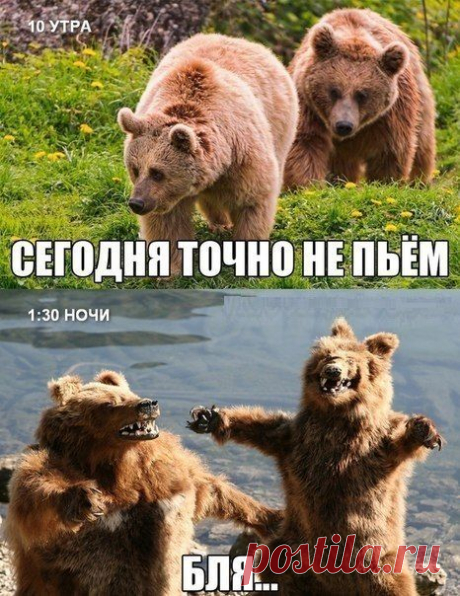 Новости