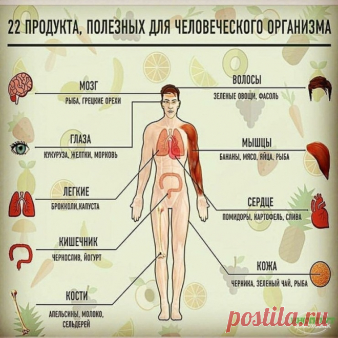 (1) Gallery.ru / Фото #86 - Всякие полезности 2 - Vladikana