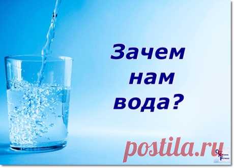 Сколько пить воды и зачем?