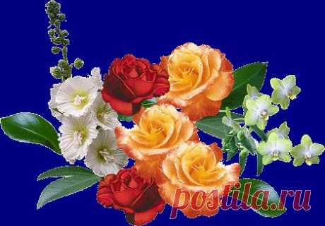 Анимированные открытки Открытка роза, анимационные картинки Открытка роза новые