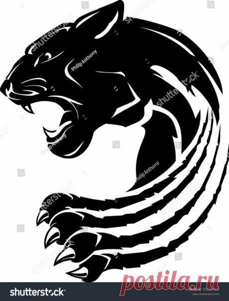Animals | Studio77 FX vector: коллекция стоковых фотографий и изображений | Shutterstock