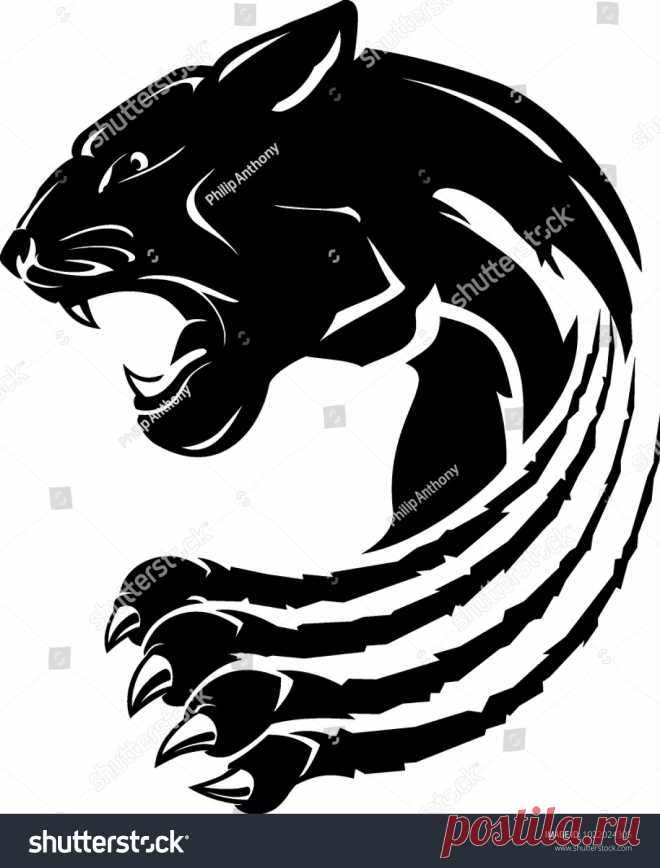 Animals | Studio77 FX vector: коллекция стоковых фотографий и изображений | Shutterstock