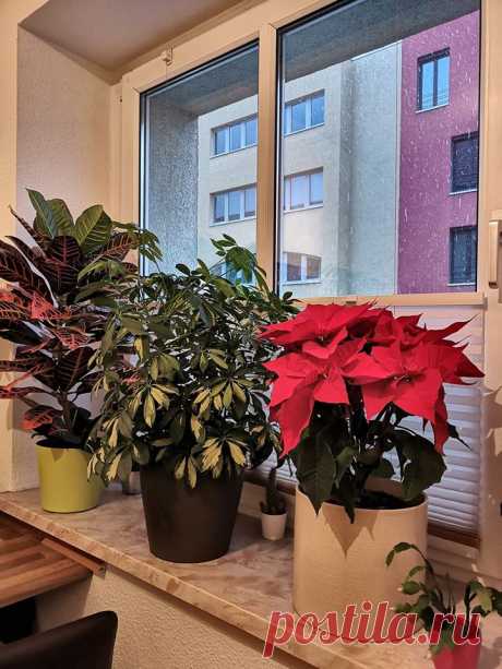 (1) ფეისბუქი