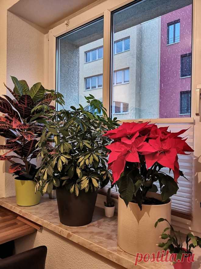 (1) ფეისბუქი