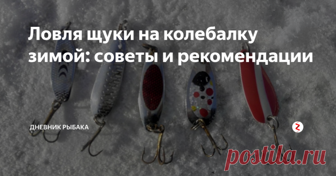 Ловля щуки на колебалку зимой: советы и рекомендации В большинстве случаев, на такую приманку ловят щуку, но попадаются и окуни, хотя реже. Блёсна лучше использовать ярких расцветок и на тройники надевать бусины или кембрики, можно дополнять шерстинками.
По приезду на место ловли следует пробурить 10-15 лунок на расстояние 7 метров друг от друга, для того что бы обловить весь водоём.
Игра блесной очень проста:
• Опускаем блесну на дно.