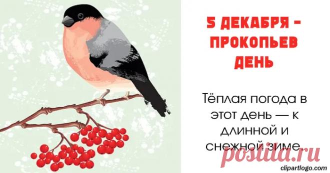 В народном календаре дата 5 декабря известна как Прокопьев день или Прокопий Зимний. Праздник символизировал окончательное наступление зимы и установление санного пути. Открытки на Прокопьев день.