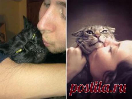 15 котов, которые терпеть не могут целоваться-обниматься! Казалось бы, что коты созданы специально для того, чтобы их гладили, тискали и целовали. Ведь они же такие красивые, пушистые и милые! Но если ты когда-нибудь сжимал в объятиях усатого-полосатого и целовал его в макушку, то наверняка заметил, что такая манипуляция не совсем ему по душе. Выражение мо