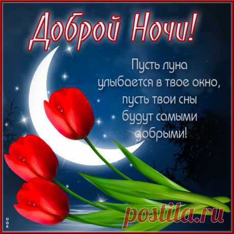 Доброй ночи! Пусть приснится
Хороший сон, пусть сладко спится!
Пусть до утра ничто не будит,
Пусть лишь рассвет тебя разбудит.