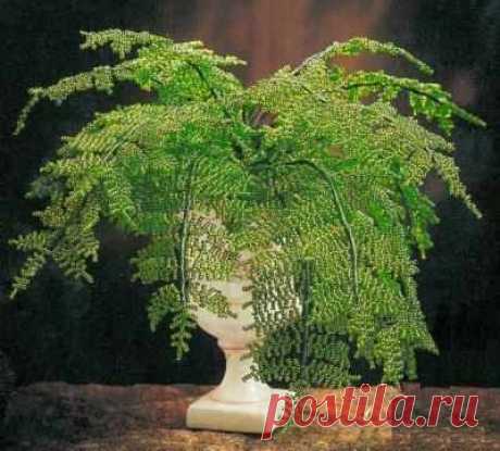 Комнатные  из бисера. ПАПОРОТНИК.
