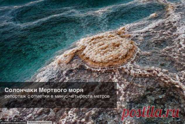 Солончаки Мертвого моря (14 фото) . Тут забавно !!!