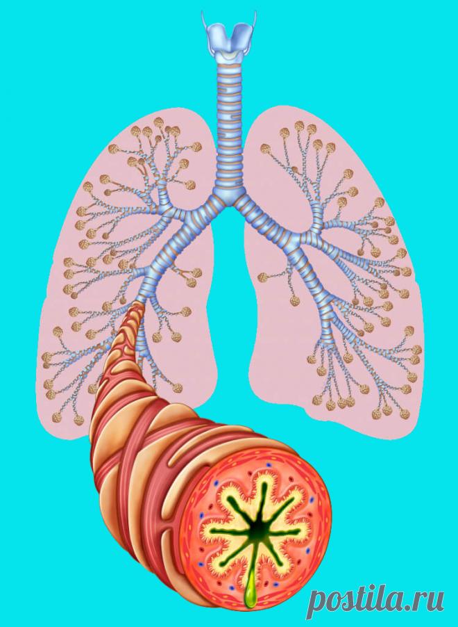 Сухой кашель может быть причиной серьезного заболевания Сухой кашель возникает не только как симптом заболевания дыхательной системы. Например, мучительный кашель без мокроты может беспокоить при сердечной недостаточности. А сухой психогенный кашель проявляется как реакция организма на стрессовую ситуацию. При болезнях органов дыхания различают несколько видов сухого кашля.