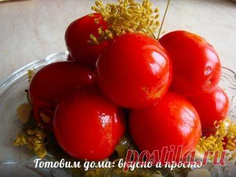 Татьяна Саранча