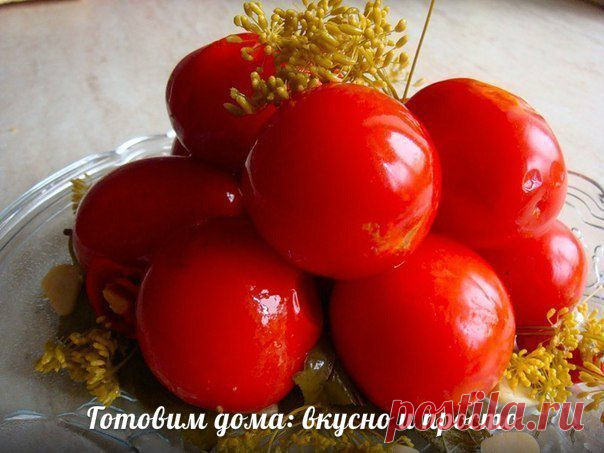 Татьяна Саранча