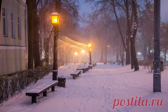 Яндекс Картинки: поиск похожих изображений