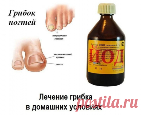 ЛЕЧИМСЯ ДОМА...

ГРИБОК — успешное лечение народными средствами...

ГРИБОК НА НОГТЯХ РУК. Сварите крепкий кофе и несколько раз погрузите руки в его настой, но осадок не взбалтывайте. Это средство лечит также грибок на ногах, снимает боли в ступнях и лодыжках, помогает избавиться от толстой отслаивающейся кожи на пятках. При повторении процедуры несколько вечеров подряд грибок полностью исчезает, кожа становится гладкой, а боли проходят.

 ГРИБОК НА ПАЛЬЦАХ НОГ. Хорошо вымы...