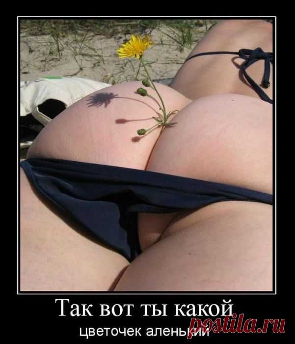 Демотиваторы онлайн