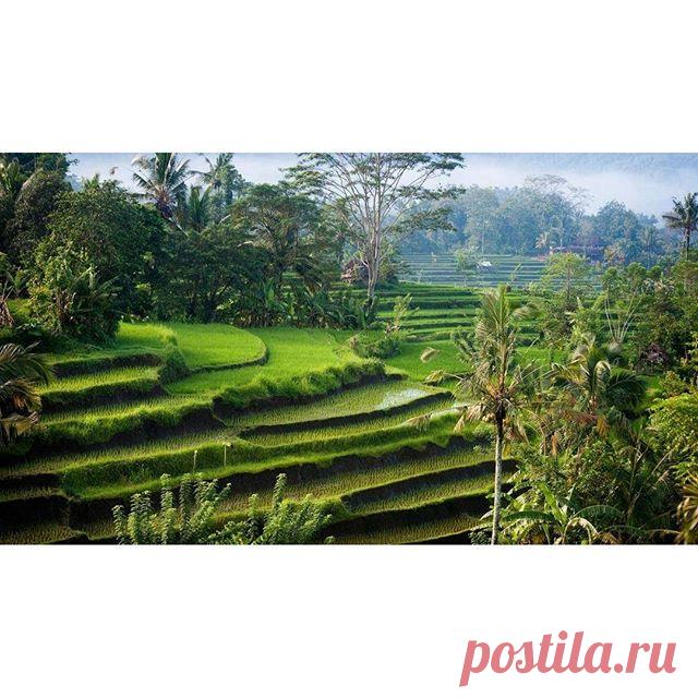 Лучше один раз увидеть, да?