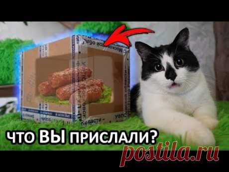 ПОСЫЛКИ и РИСУНКИ от ПОДПИСЧИКОВ **ОНИ ПРОСТО КРУТЫЕ**