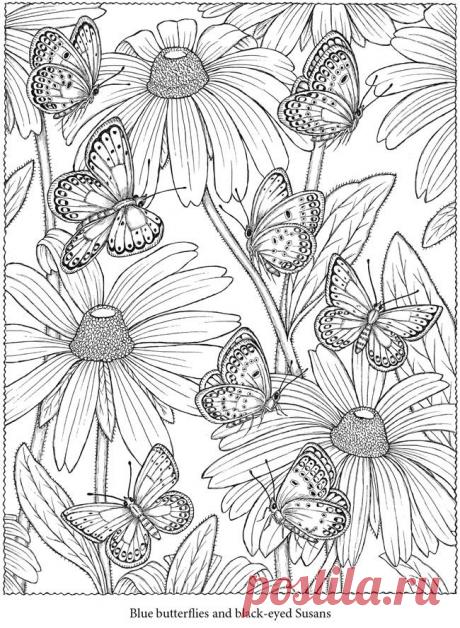 Тёплый хлеб раскраски