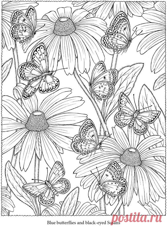 Тёплый хлеб раскраски