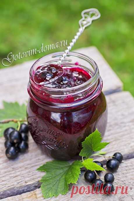 Черная смородина, протертая с сахаром (холодное варенье).