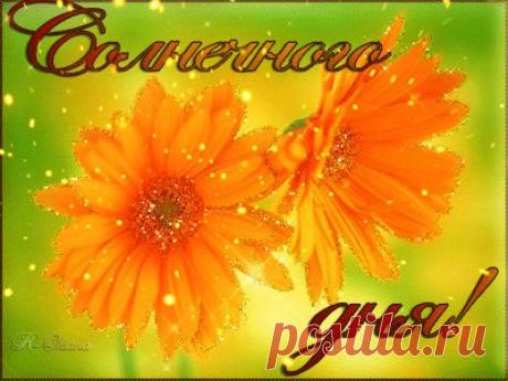 Схемка "Солнечные ромашки" + открытка