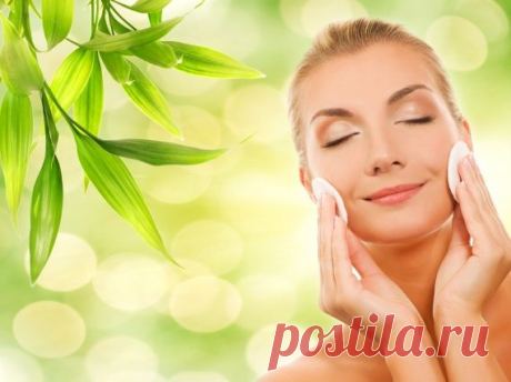 5 лучших рецептов домашних лосьонов для жирной кожи /