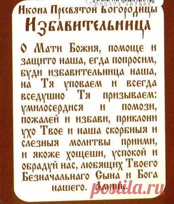 (41) Одноклассники