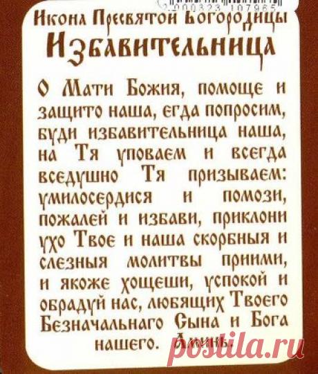 (41) Одноклассники